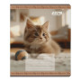 Тетрадь ученическая школьная ZiBi Cats 12 листов в клеточку